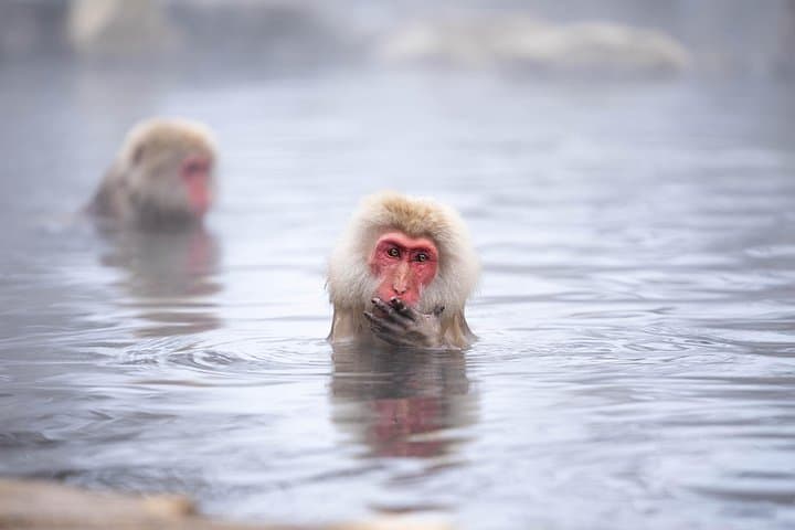 Mt Fuji, Takayama & Nagano Private 3-Day Tour with Local Photographer Guide photo 1