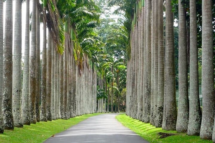 3-Day Cultural Circuit: Kandy, Sigiriya & Trincomalee — Airport to Airport Private Tour photo 3