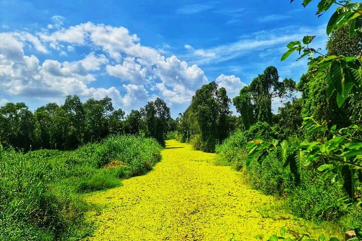 U Minh Thuong Forest and Pineapple Villages Tour from Can Tho photo 6