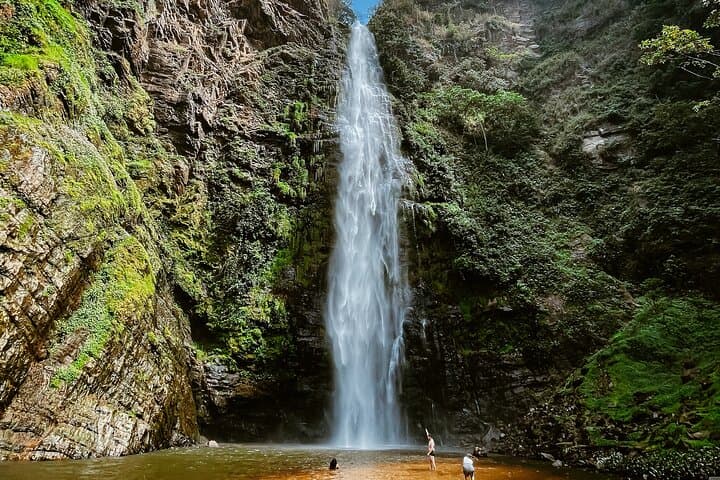 Wli Waterfall and Tafi Atome Monkey Sanctuary Day Tour — Hike, Wildlife & Culture photo 4