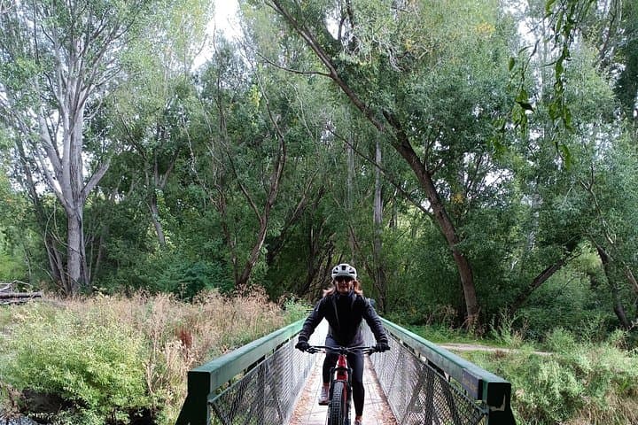 Bike the Roxburgh Gorge Trail: Clyde to Roxburgh with Jet Boat Transfer photo 3
