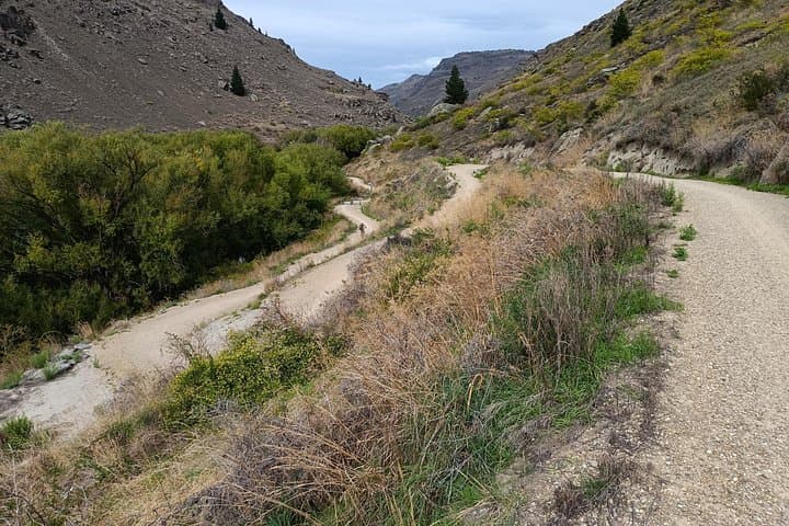 Bike the Roxburgh Gorge Trail: Clyde to Roxburgh with Jet Boat Transfer photo 4
