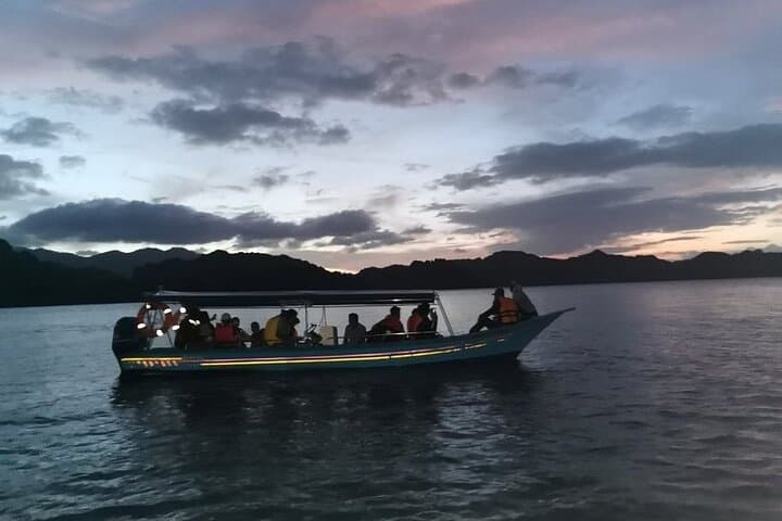 Langkawi Wild Night Out: Kilim Mangrove Night Safari & Riverside Dinner