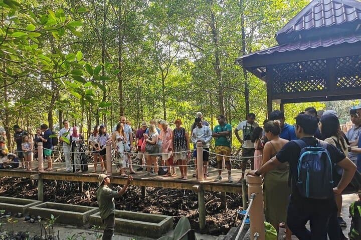 Langkawi Wild Night Out: Kilim Mangrove Night Safari & Riverside Dinner photo 4