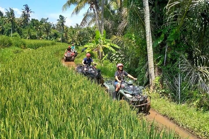 Bali Full-Day Ubud Adventure: ATV Ride, Waterfall & Monkey Forest photo 2