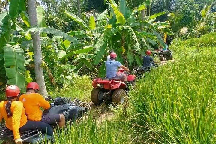 Bali Full-Day Ubud Adventure: ATV Ride, Waterfall & Monkey Forest photo 6