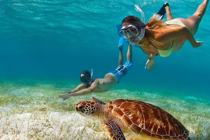 Montego Bay Snorkel & Sightseeing: Family-Friendly Reef Adventure