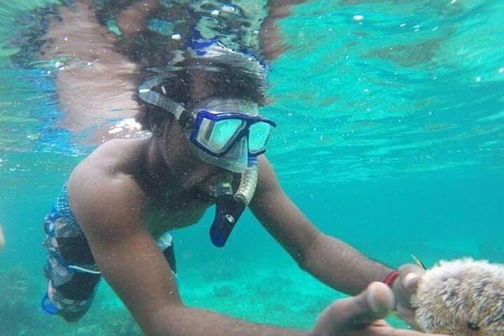 Montego Bay Snorkel & Sightseeing: Family-Friendly Reef Adventure photo 2