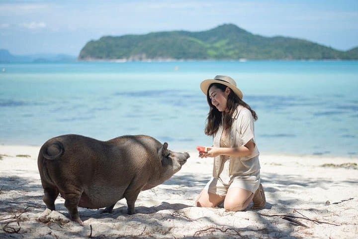 Luxury Floating Bar and Snorkeling at Koh Madsum — Day Trip from Koh Samui photo 4