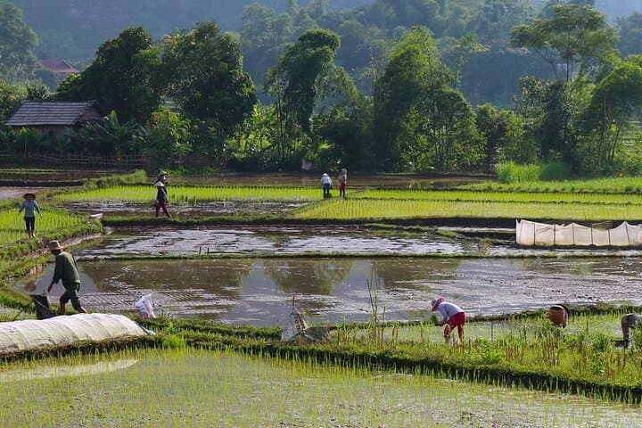 Mai Chau Day Trip by Bike from Hanoi — Cycle Rice Valleys & Thai Villages photo 3