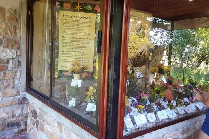 Table Mountain, Constantia & Kirstenbosch: Private Day Tour from Cape Town photo 3