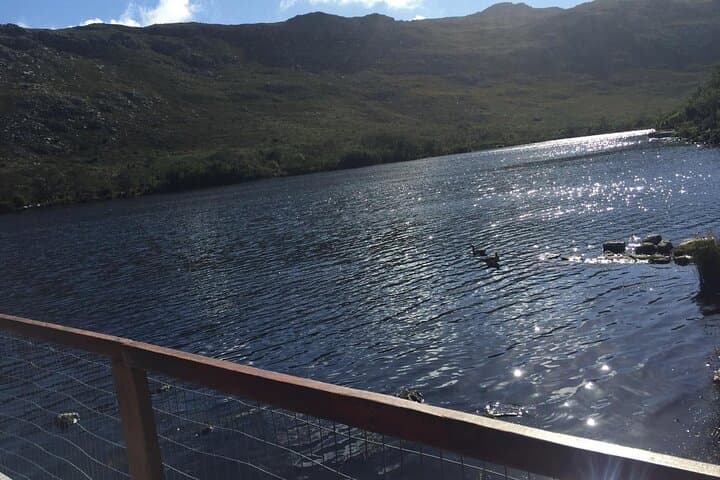 Table Mountain, Kirstenbosch & Constantia: A Private Cape Town Nature and Wine Day photo 6