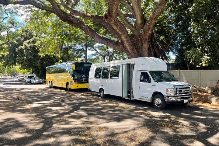 Oahu Circle-Island Tour: Waikiki to North Shore Snorkel & Coastal Sights photo 3
