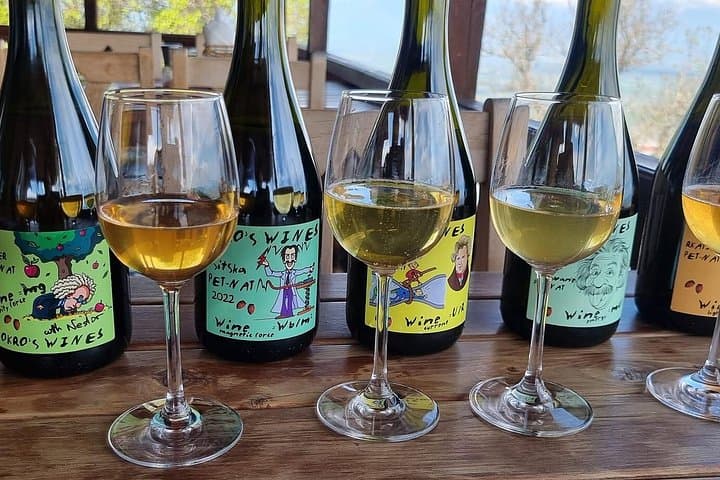 Private Kakheti Wine Tour: 7 Wines, Chacha & Traditional Lunch from Tbilisi photo 1