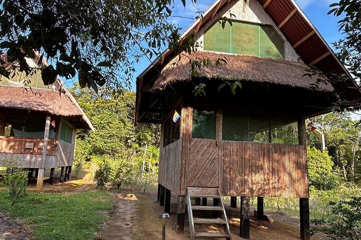 Manu Reserve Rainforest Escape: 3-Day Amazon Wildlife Tour from Cusco photo 3