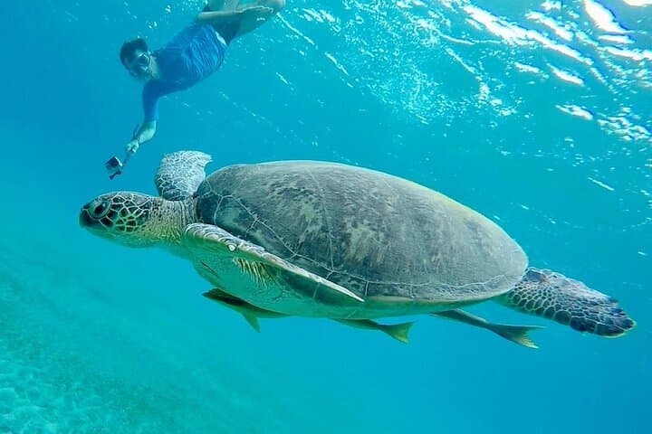 Abu Dabab Snorkeling Day Trip from Hurghada — Tickets & Beach Lunch photo 2