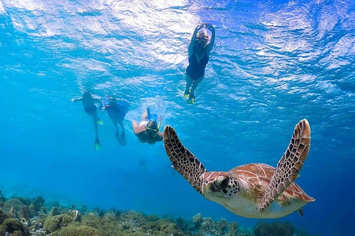 Abu Dabab Snorkeling Day Trip from Hurghada — Tickets & Beach Lunch