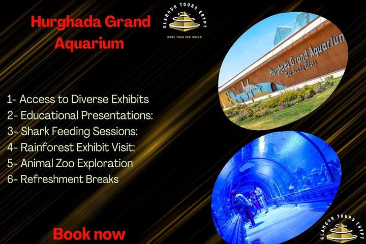 Hurghada Grand Aquarium: 2-Hour Red Sea Wonders Tour with Shark Feedings