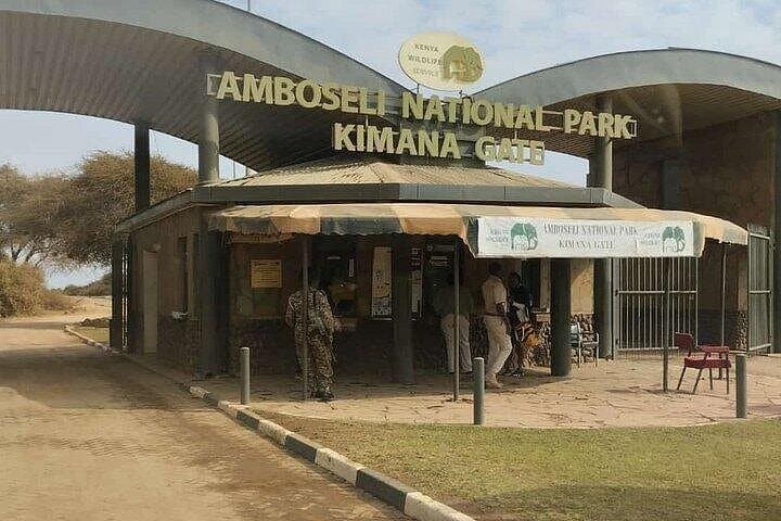 Amboseli National Park Day Safari: Kilimanjaro Views & Elephant Herds photo 1