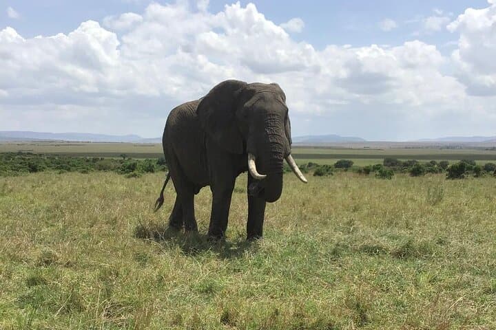 Beyond the Rim: 5-Day Camping Safari to Ngorongoro, Tarangire & Lake Manyara photo 2