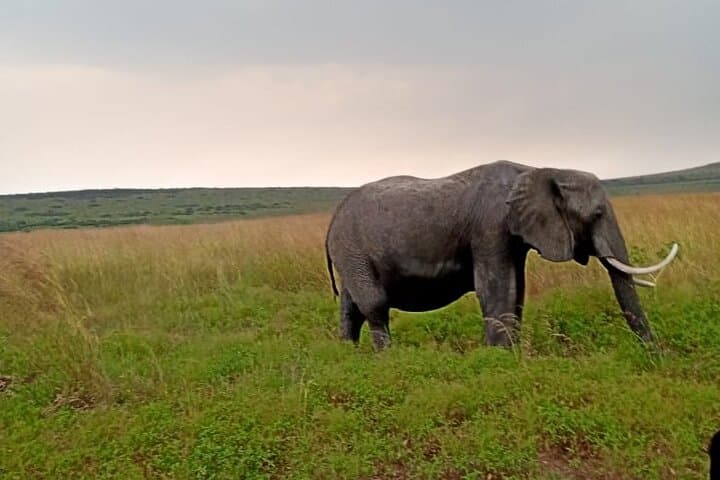Beyond the Rim: 5-Day Camping Safari to Ngorongoro, Tarangire & Lake Manyara photo 3