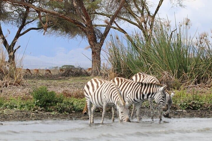 Hell's Gate National Park Day Tour — Biking the Gorges and Lake Naivasha Cruise photo 2