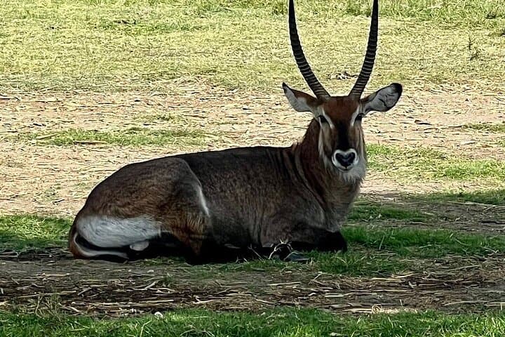 Hell's Gate National Park Day Tour — Biking the Gorges and Lake Naivasha Cruise photo 4