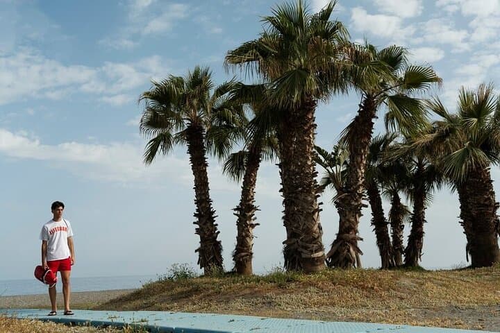 Palma de Mallorca Must-See Walking Tour — Old Town Highlights & Hidden Gems photo 6