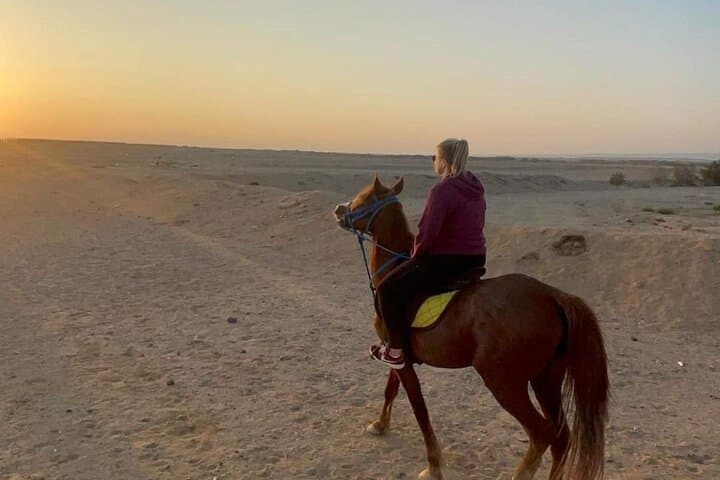 Sharm El Sheikh Desert Horse Ride with Bedouin Dinner & Egyptian Show photo 6