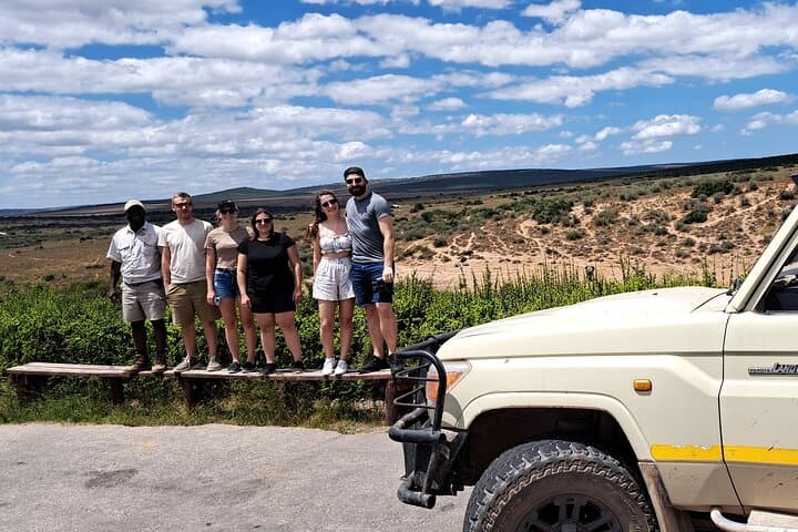 Addo Elephant Park Full-Day Safari: Close Encounters, Conservation & Braai Lunch photo 4