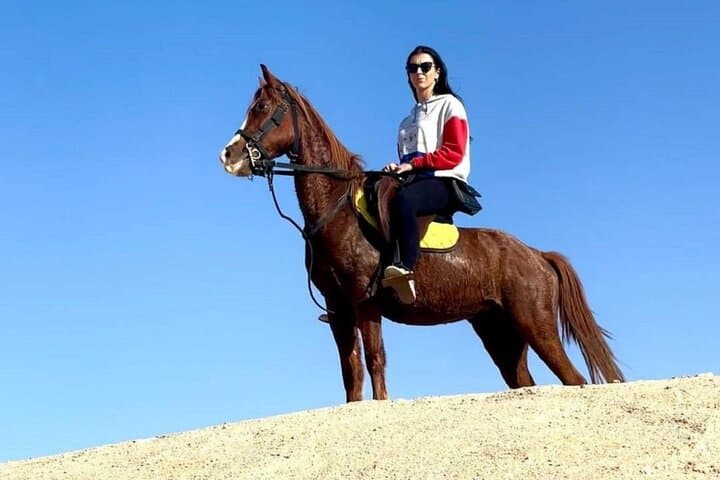 Sinai Desert Horse Ride & Bedouin Dinner in Sharm El Sheikh