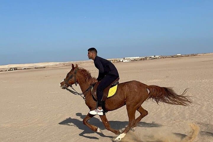 Sinai Desert Horse Ride & Bedouin Dinner in Sharm El Sheikh photo 3