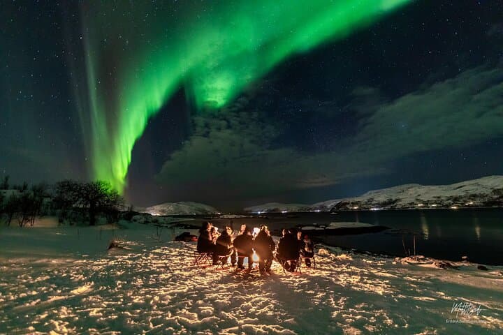 Tromsø Northern Lights Minibus Chase with Photos and Dinner photo 3