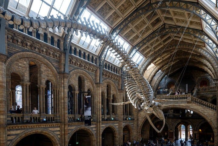 Guided Natural History Museum Walking Tour — London Insights & Practical Tips photo 6