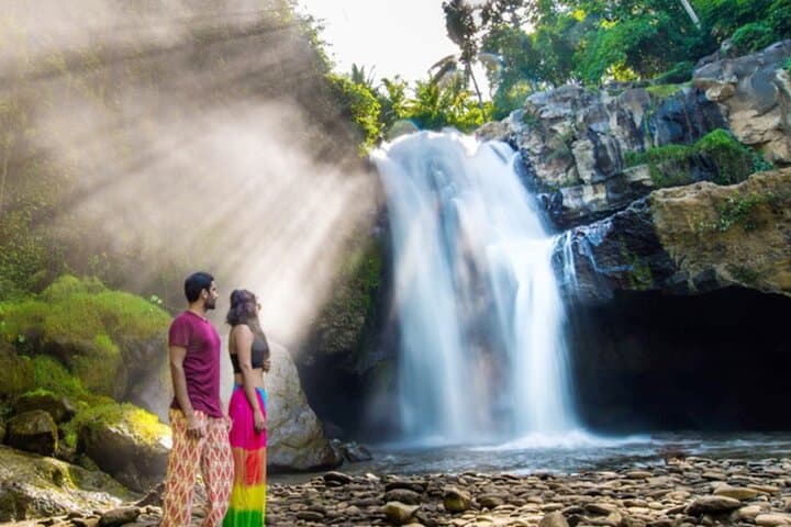 Ubud Private Full-Day: Monkey Forest, Rice Terraces & Tegenungan Waterfall