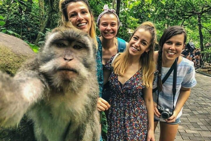Ubud Private Full-Day: Monkey Forest, Rice Terraces & Tegenungan Waterfall photo 2