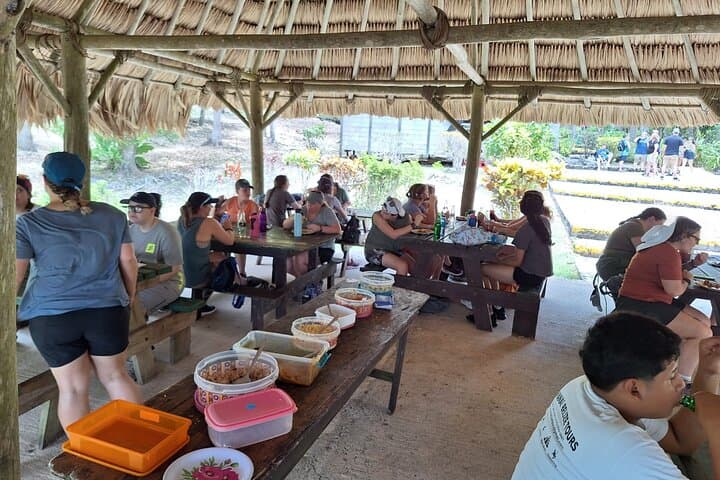 Lamanai Mayan Ruins Riverboat Tour from Belize City — Guided Day Trip with Lunch photo 3