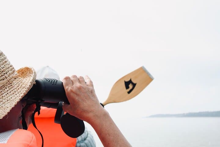 Curonian Lagoon Canoe Tour: Paddle to Gliders' Dune & Nida's Buried Villages photo 3