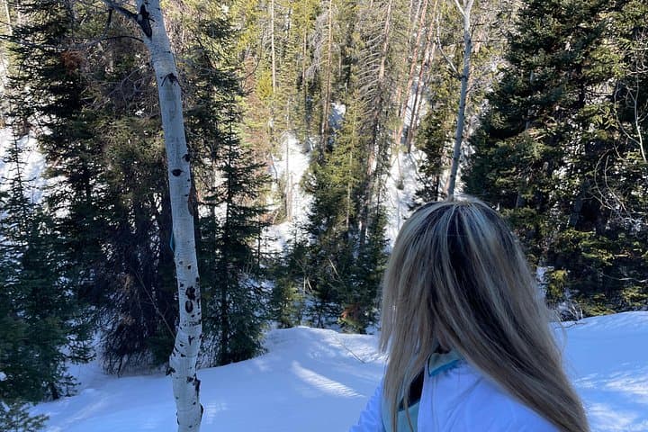 Backcountry Snowshoeing near Park City: Guided 4-Hour Wasatch Winter Trek photo 4