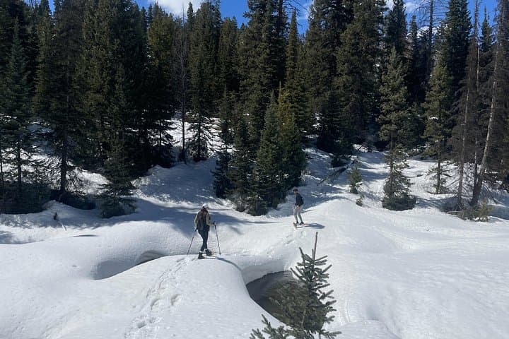 Backcountry Snowshoeing near Park City: Guided 4-Hour Wasatch Winter Trek photo 3