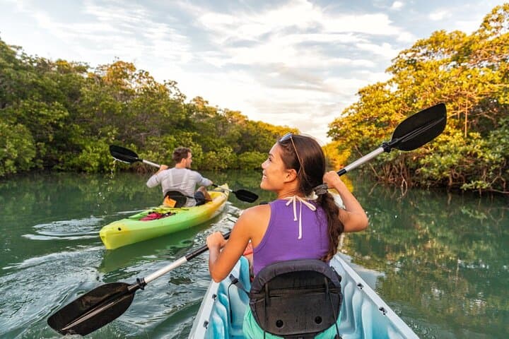 Kayak Ao Thalane: Mangrove Mazes & Limestone Lagoons in Krabi