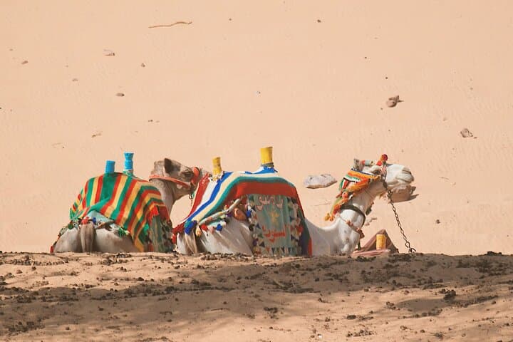 Cairo to Siwa Oasis: 3-Day Private Desert Adventure photo 2