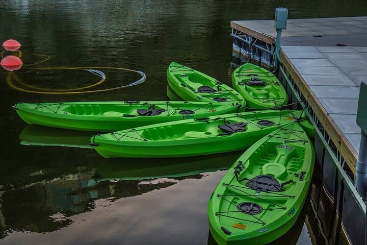 2-Hour Kayak Lessons on Lady Bird Lake — Paddle Austin's Skyline & Congress Avenue Bat Bridge photo 2