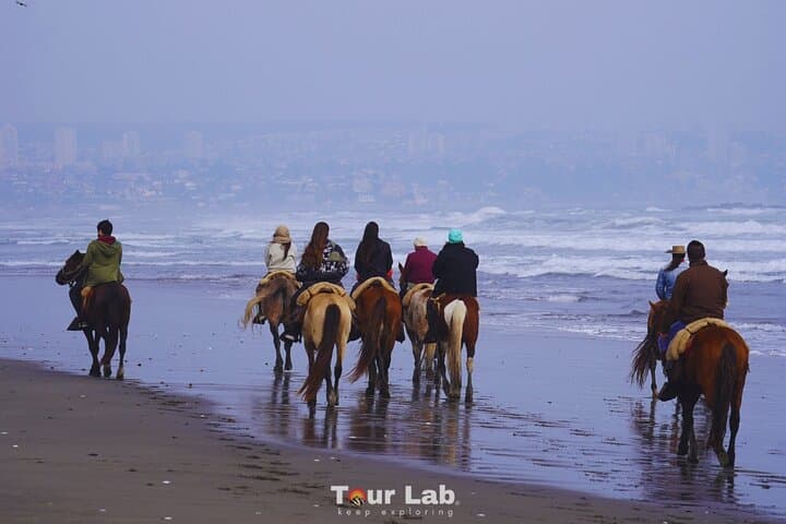 Sunset Horseback Ride on Ritoque Dunes & Beach with Chilean BBQ