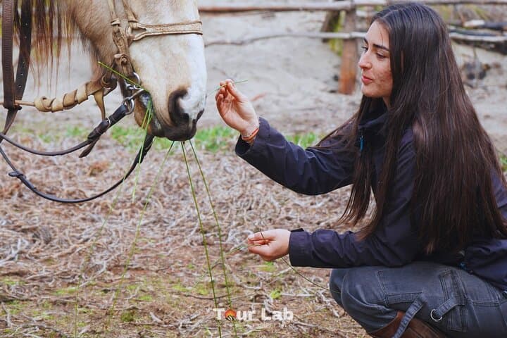 Sunset Horseback Ride on Ritoque Dunes & Beach with Chilean BBQ photo 4
