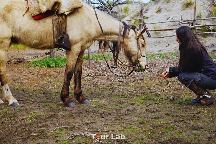 Sunset Horseback Ride on Ritoque Dunes & Beach with Chilean BBQ photo 6