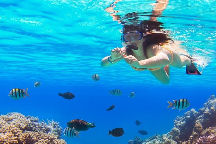 Saona Island Speedboat Tour: Private Beach & Snorkeling from Bayahibe photo 2
