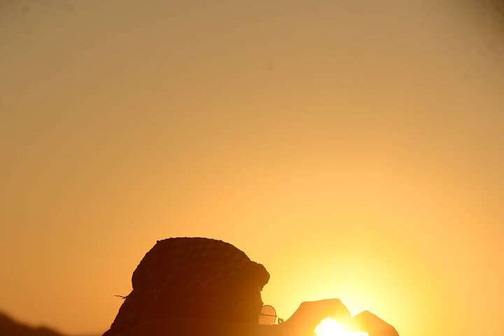 Desert Stargazing in Marsa Alam — Camel Ride, Bedouin Dinner & Telescope Night photo 3