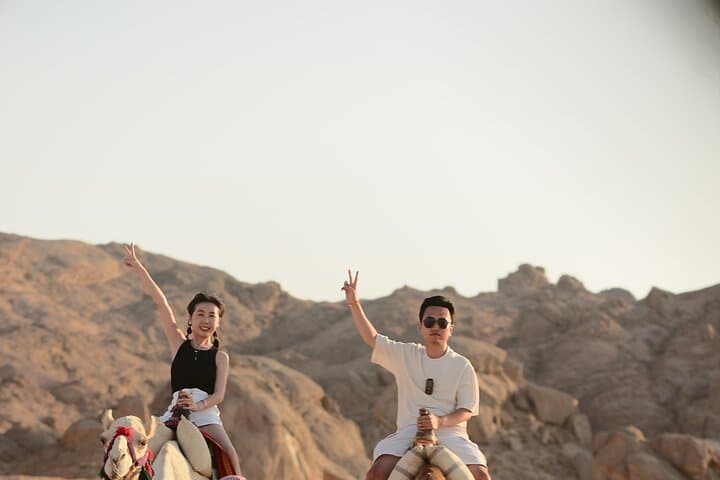 Desert Stargazing in Marsa Alam — Camel Ride, Bedouin Dinner & Telescope Night photo 5