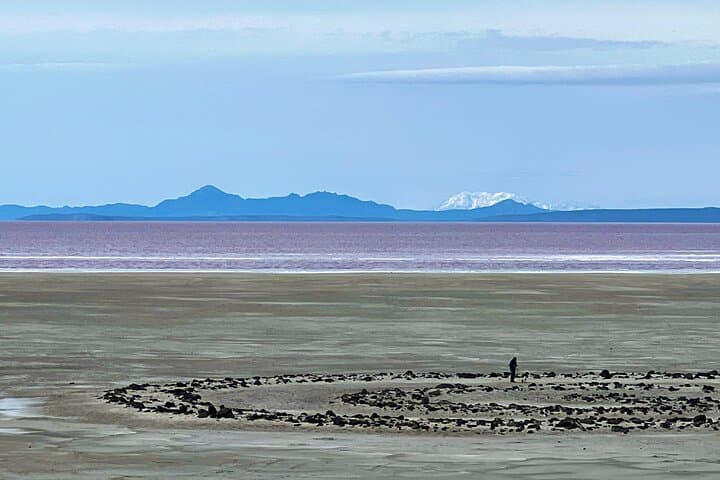 Private Tour to Spiral Jetty & Pink Lake — Guided Great Salt Lake Art and Nature Experience photo 3